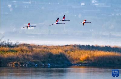  初冬時(shí)節(jié)，神州大地開(kāi)啟“美顏”模式  